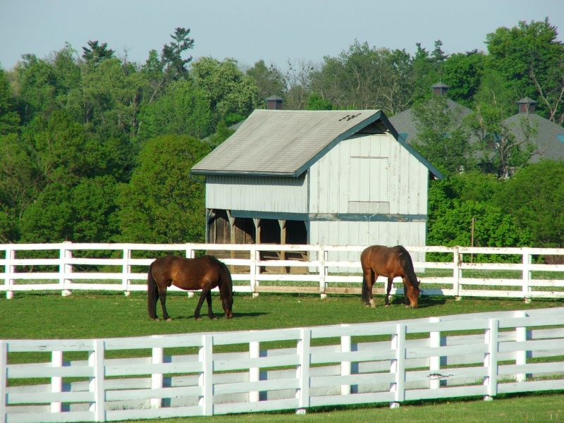 Equine Fence Installation