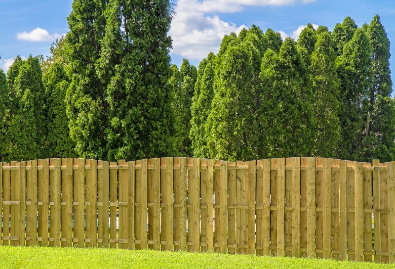 Wood Fence Service